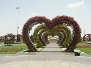 IMG_0216