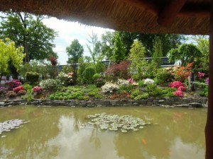 gocz (1)