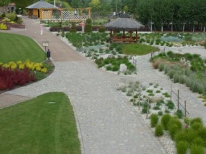 gocz (24)