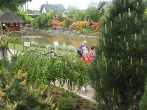 gocz (3)