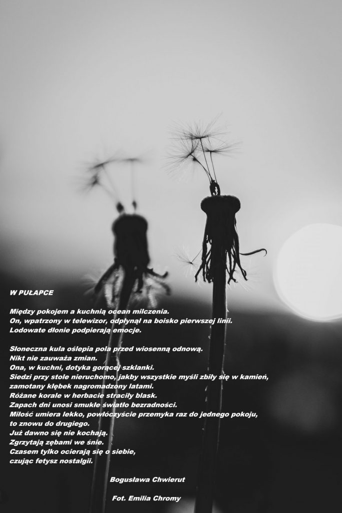 Fotografia czarno-biała z wierszem "W pułapce"